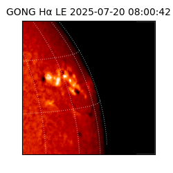 gong - 2025-07-20T08:00:42