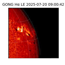 gong - 2025-07-20T09:00:42