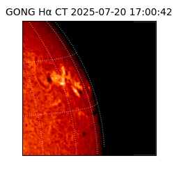 gong - 2025-07-20T17:00:42