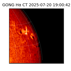 gong - 2025-07-20T19:00:42