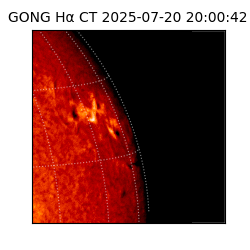 gong - 2025-07-20T20:00:42