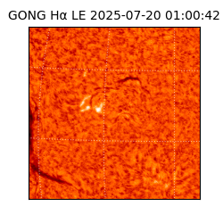 gong - 2025-07-20T01:00:42
