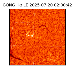 gong - 2025-07-20T02:00:42