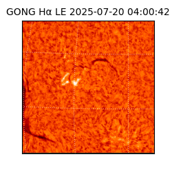 gong - 2025-07-20T04:00:42