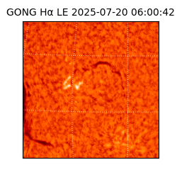 gong - 2025-07-20T06:00:42