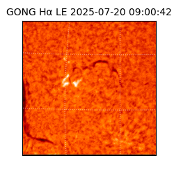 gong - 2025-07-20T09:00:42