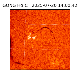 gong - 2025-07-20T14:00:42