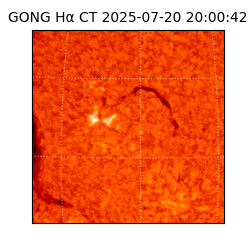 gong - 2025-07-20T20:00:42