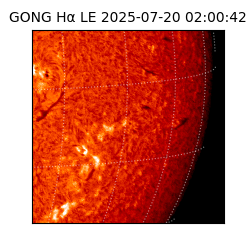 gong - 2025-07-20T02:00:42