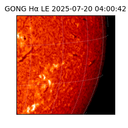 gong - 2025-07-20T04:00:42