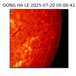 gong - 2025-07-20T05:00:42