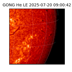 gong - 2025-07-20T09:00:42