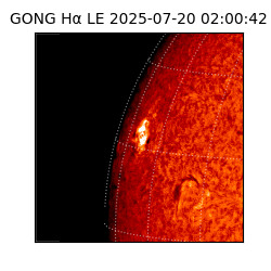 gong - 2025-07-20T02:00:42