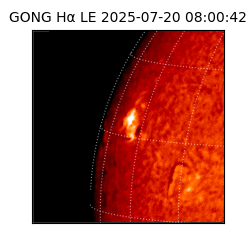 gong - 2025-07-20T08:00:42