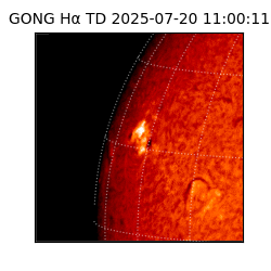 gong - 2025-07-20T11:00:11