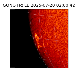 gong - 2025-07-20T02:00:42