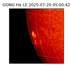 gong - 2025-07-20T05:00:42