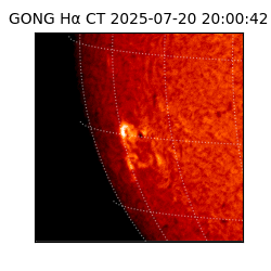 gong - 2025-07-20T20:00:42