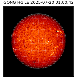 gong - 2025-07-20T01:00:42