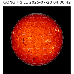 gong - 2025-07-20T04:00:42