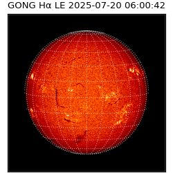 gong - 2025-07-20T06:00:42