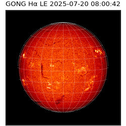 gong - 2025-07-20T08:00:42