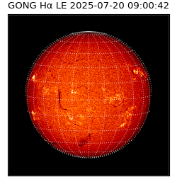gong - 2025-07-20T09:00:42