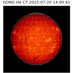 gong - 2025-07-20T14:00:42