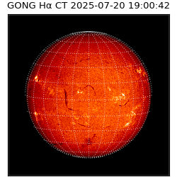 gong - 2025-07-20T19:00:42