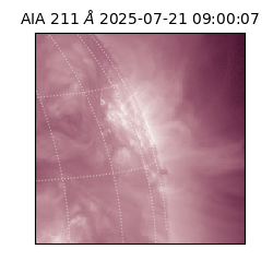 saia - 2025-07-21T09:00:07.461000