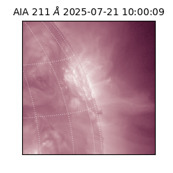 saia - 2025-07-21T10:00:09.630000