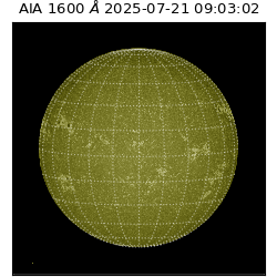 saia - 2025-07-21T09:03:02.130000