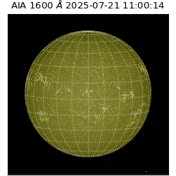 saia - 2025-07-21T11:00:14.126000