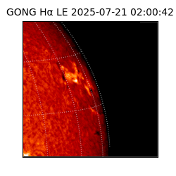 gong - 2025-07-21T02:00:42