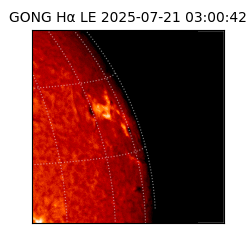gong - 2025-07-21T03:00:42
