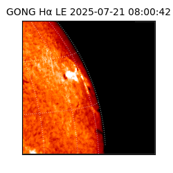 gong - 2025-07-21T08:00:42