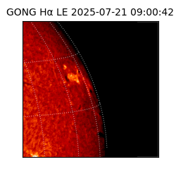 gong - 2025-07-21T09:00:42