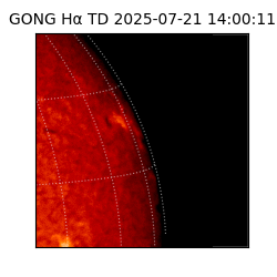 gong - 2025-07-21T14:00:11
