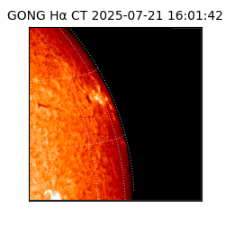 gong - 2025-07-21T16:01:42