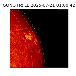 gong - 2025-07-21T01:00:42
