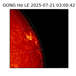 gong - 2025-07-21T03:00:42