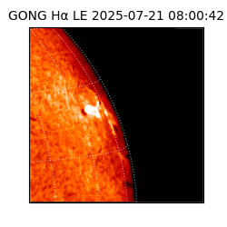gong - 2025-07-21T08:00:42