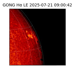 gong - 2025-07-21T09:00:42