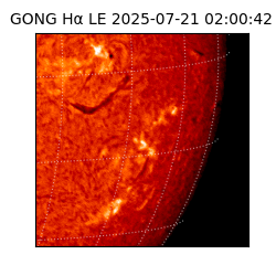 gong - 2025-07-21T02:00:42
