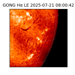 gong - 2025-07-21T08:00:42