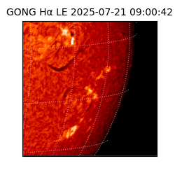 gong - 2025-07-21T09:00:42