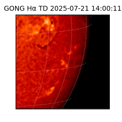 gong - 2025-07-21T14:00:11