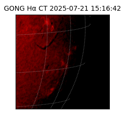 gong - 2025-07-21T15:16:42