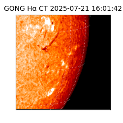 gong - 2025-07-21T16:01:42