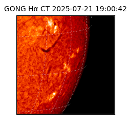gong - 2025-07-21T19:00:42